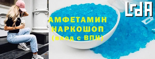 индика Алзамай