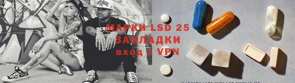 индика Алзамай