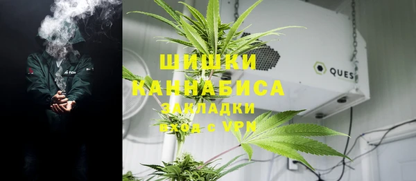 сатива Алексеевка