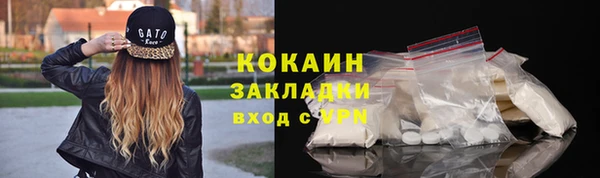 индика Алзамай