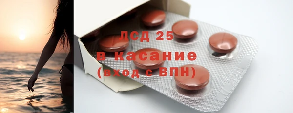 индика Алзамай