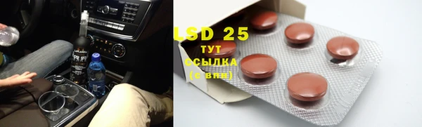 индика Алзамай