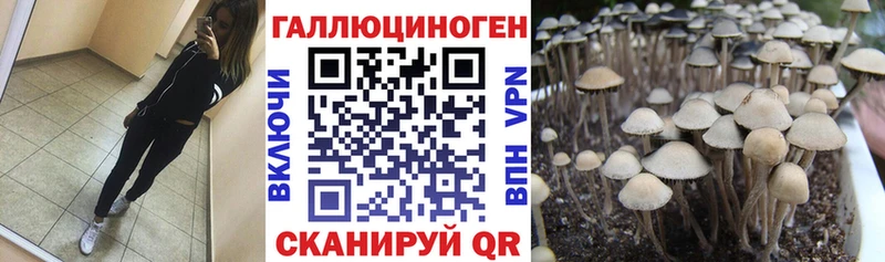продажа наркотиков  Данков  omg tor  Галлюциногенные грибы Psilocybe 