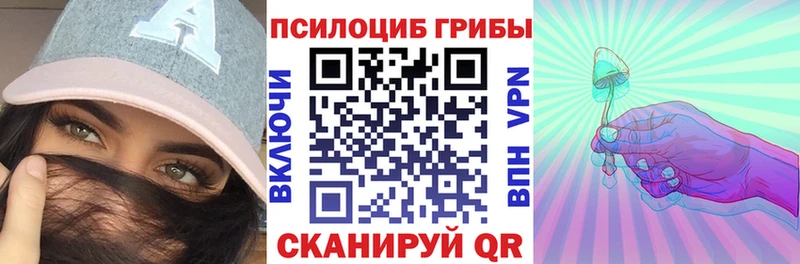Псилоцибиновые грибы Psilocybe Данков