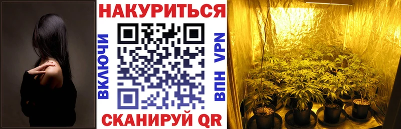 Бошки Шишки Amnesia  Данков 